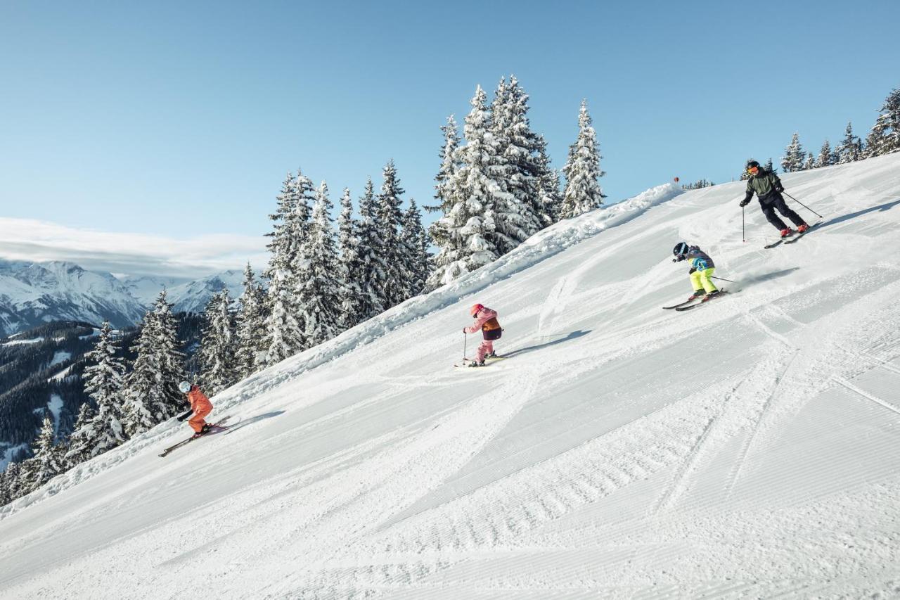 Alpenparks Chalet & Apartment Areitxpress Τσελ αμ Ζέε Εξωτερικό φωτογραφία